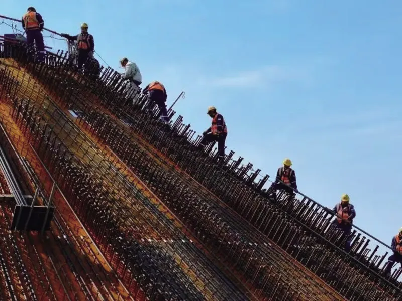 مشروع محطة سانوان للطاقة النووية